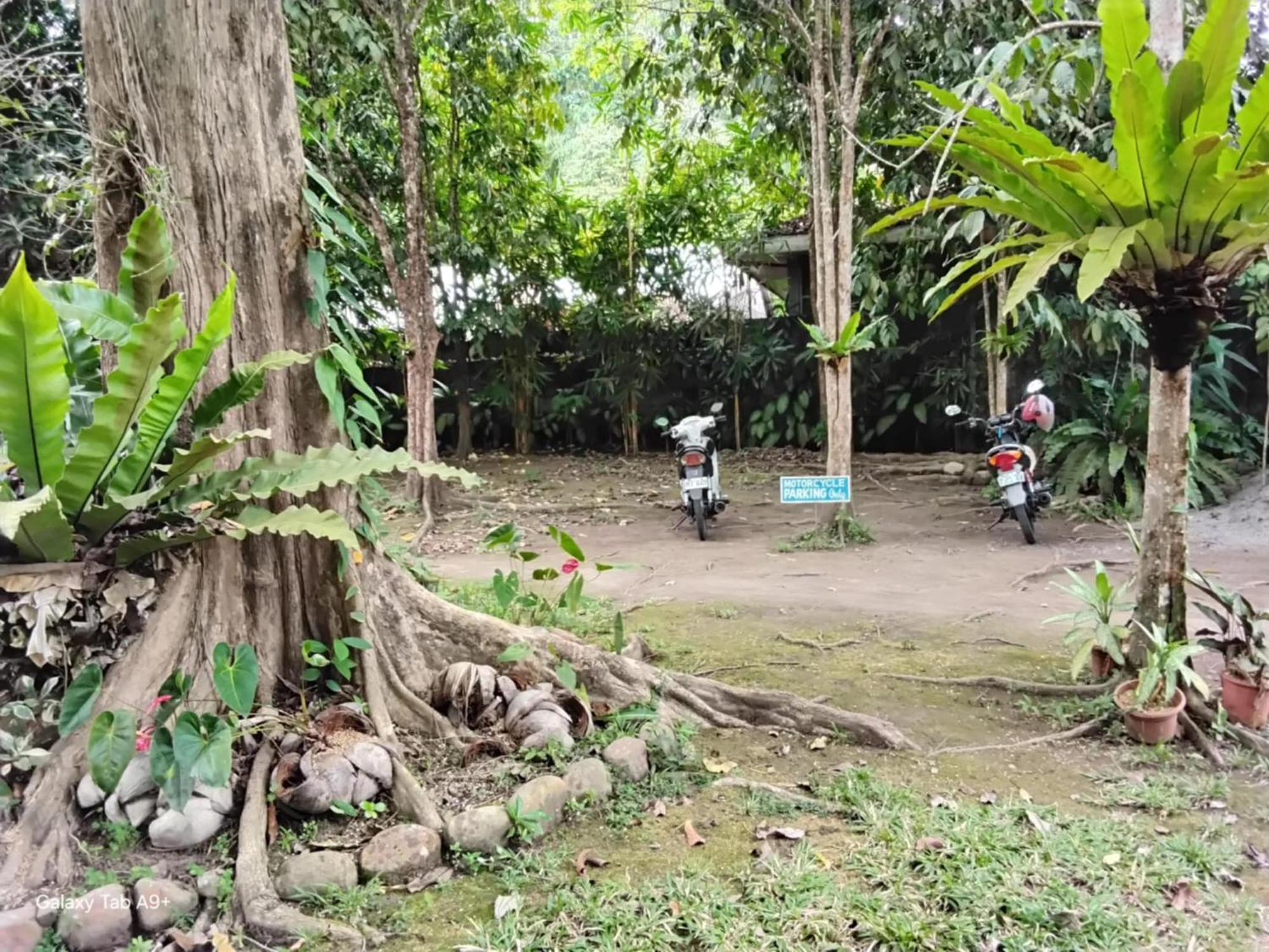 Camiguin Lanzones Resort Mambajao Eksteriør bilde