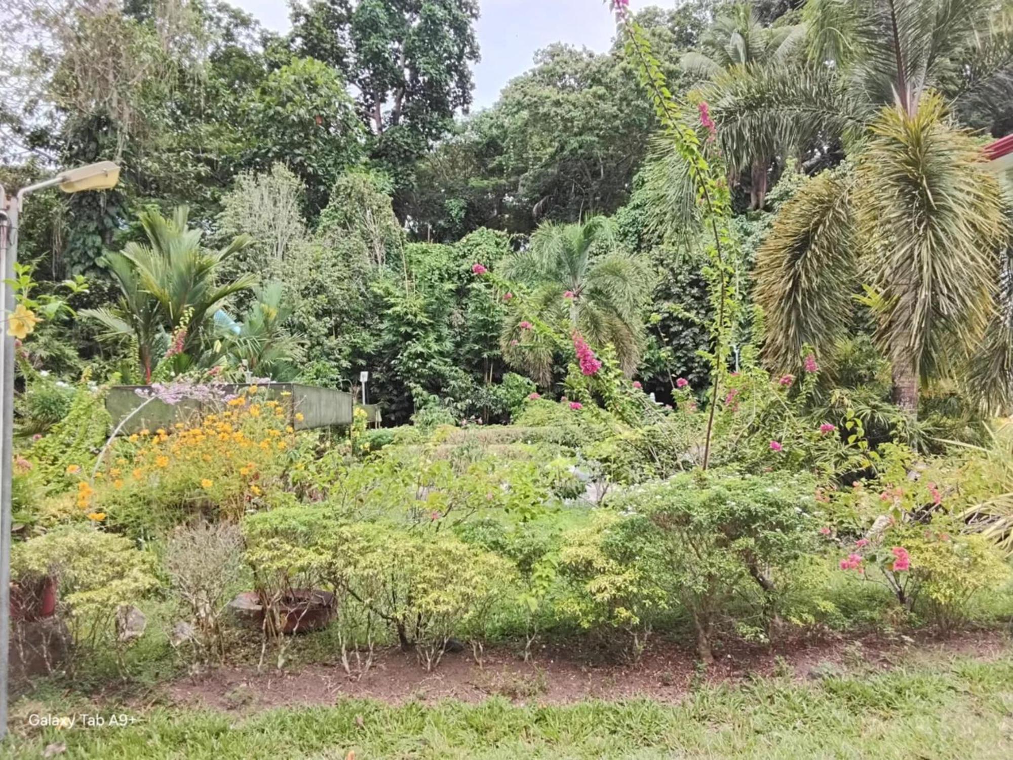 Camiguin Lanzones Resort Mambajao Eksteriør bilde