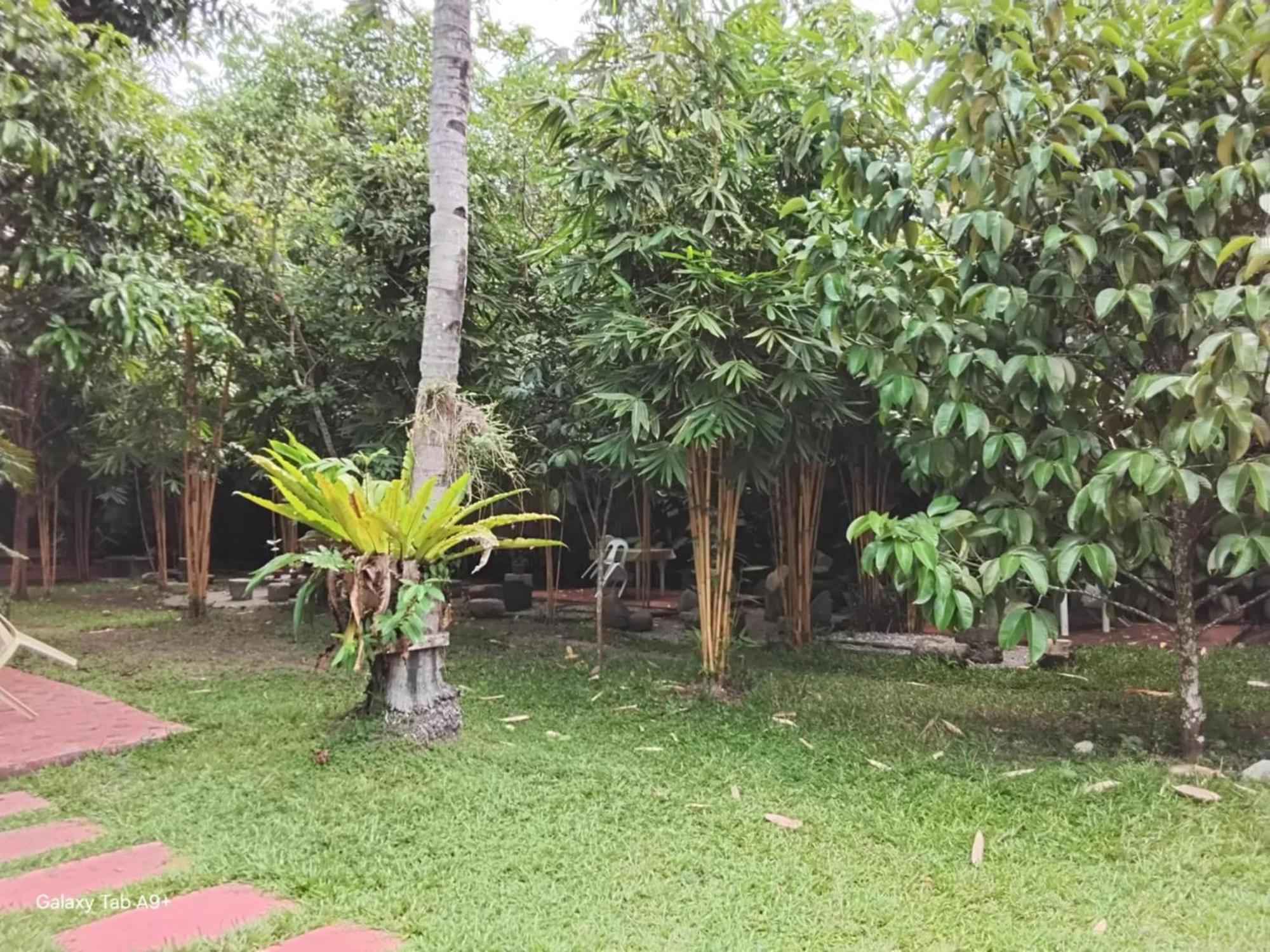 Camiguin Lanzones Resort Mambajao Eksteriør bilde