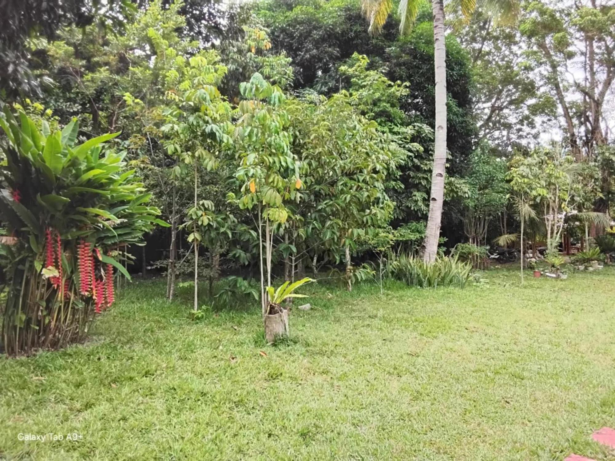 Camiguin Lanzones Resort Mambajao Eksteriør bilde